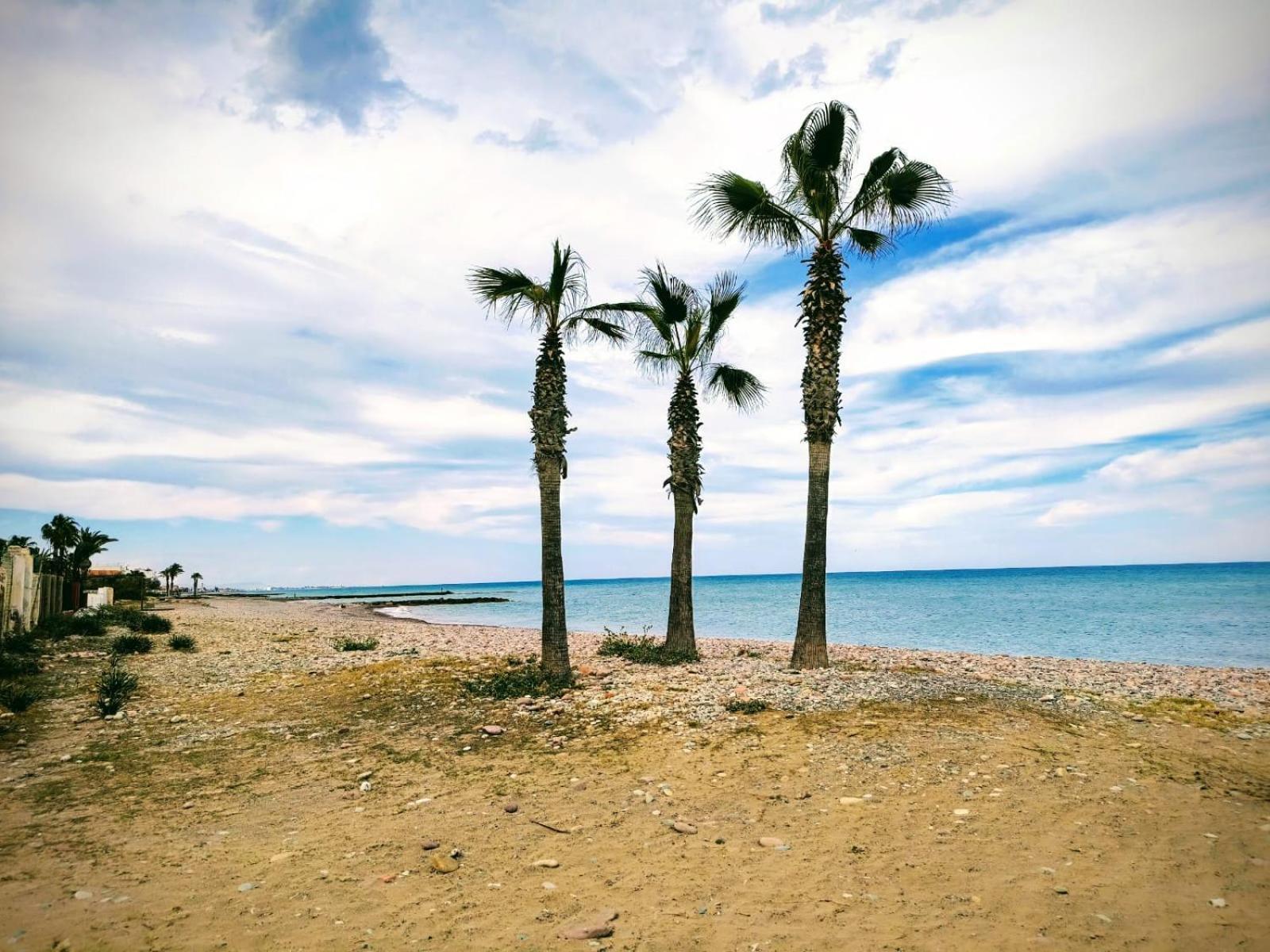 Apartamento Cerca De La Playa Moncófar Eksteriør bilde